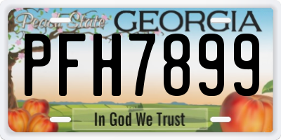 GA license plate PFH7899