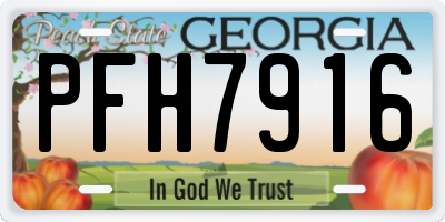 GA license plate PFH7916