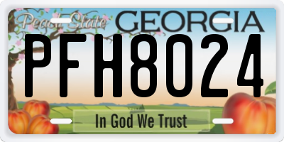 GA license plate PFH8024