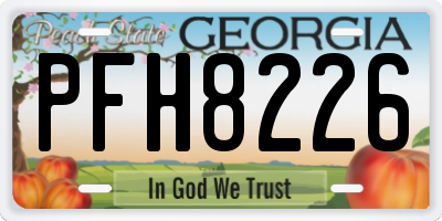 GA license plate PFH8226