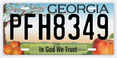 GA license plate PFH8349