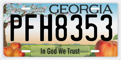 GA license plate PFH8353