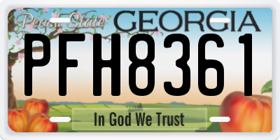 GA license plate PFH8361
