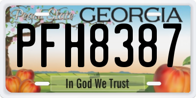 GA license plate PFH8387