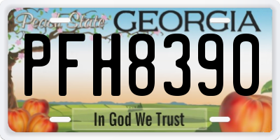GA license plate PFH8390