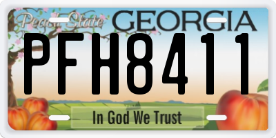 GA license plate PFH8411