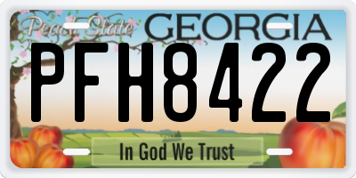 GA license plate PFH8422
