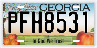 GA license plate PFH8531