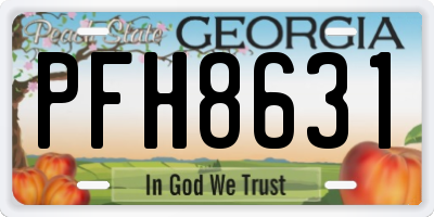 GA license plate PFH8631