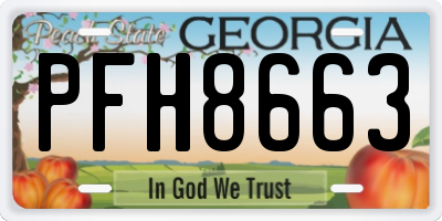 GA license plate PFH8663