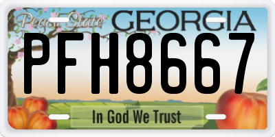 GA license plate PFH8667