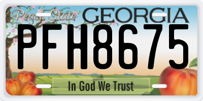 GA license plate PFH8675