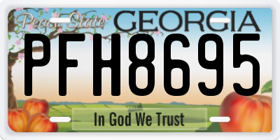 GA license plate PFH8695