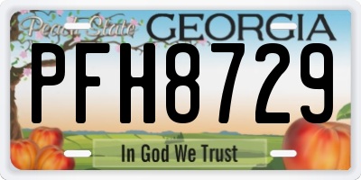 GA license plate PFH8729