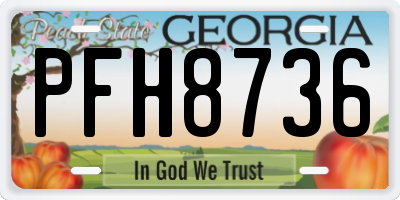 GA license plate PFH8736