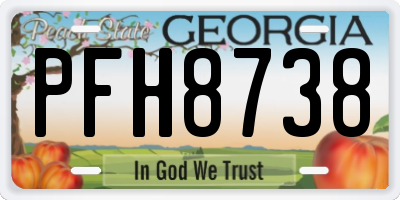 GA license plate PFH8738