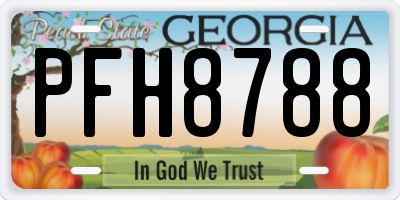 GA license plate PFH8788