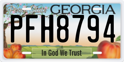 GA license plate PFH8794