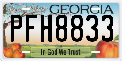 GA license plate PFH8833