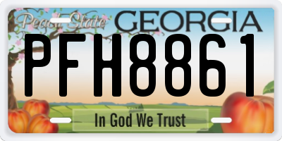 GA license plate PFH8861