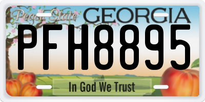 GA license plate PFH8895