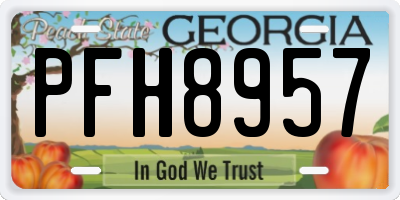 GA license plate PFH8957