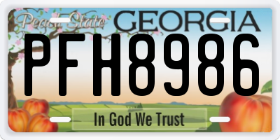 GA license plate PFH8986