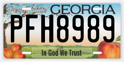 GA license plate PFH8989