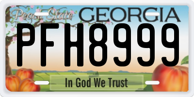 GA license plate PFH8999