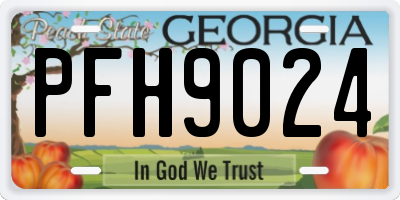 GA license plate PFH9024