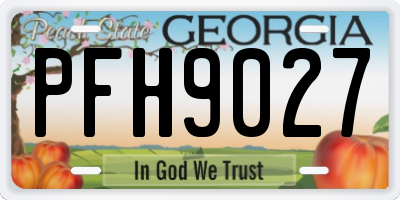 GA license plate PFH9027