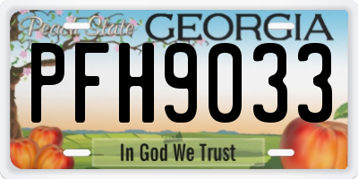 GA license plate PFH9033