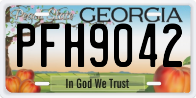 GA license plate PFH9042