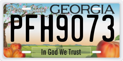 GA license plate PFH9073