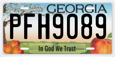 GA license plate PFH9089