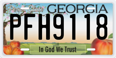 GA license plate PFH9118