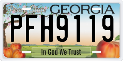 GA license plate PFH9119