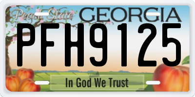GA license plate PFH9125