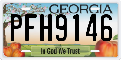 GA license plate PFH9146