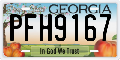 GA license plate PFH9167