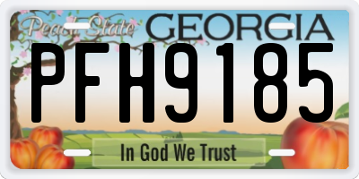 GA license plate PFH9185