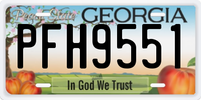 GA license plate PFH9551