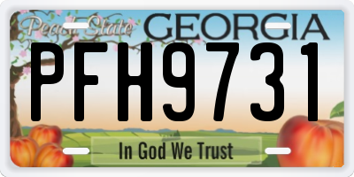 GA license plate PFH9731