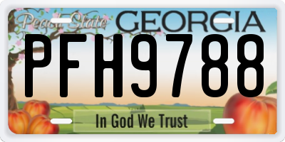GA license plate PFH9788
