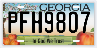 GA license plate PFH9807