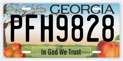 GA license plate PFH9828