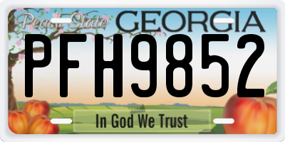 GA license plate PFH9852