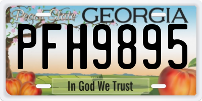 GA license plate PFH9895