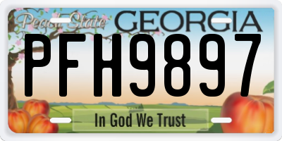GA license plate PFH9897