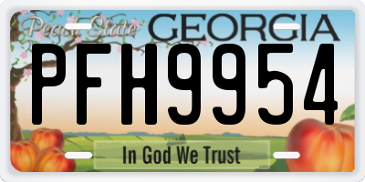 GA license plate PFH9954
